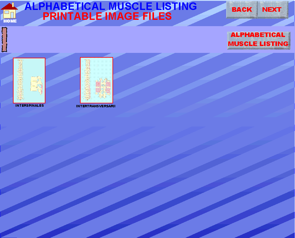 IP_img.gif
