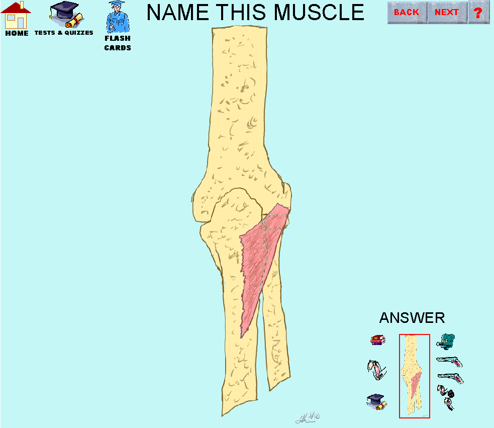 11_img.gif