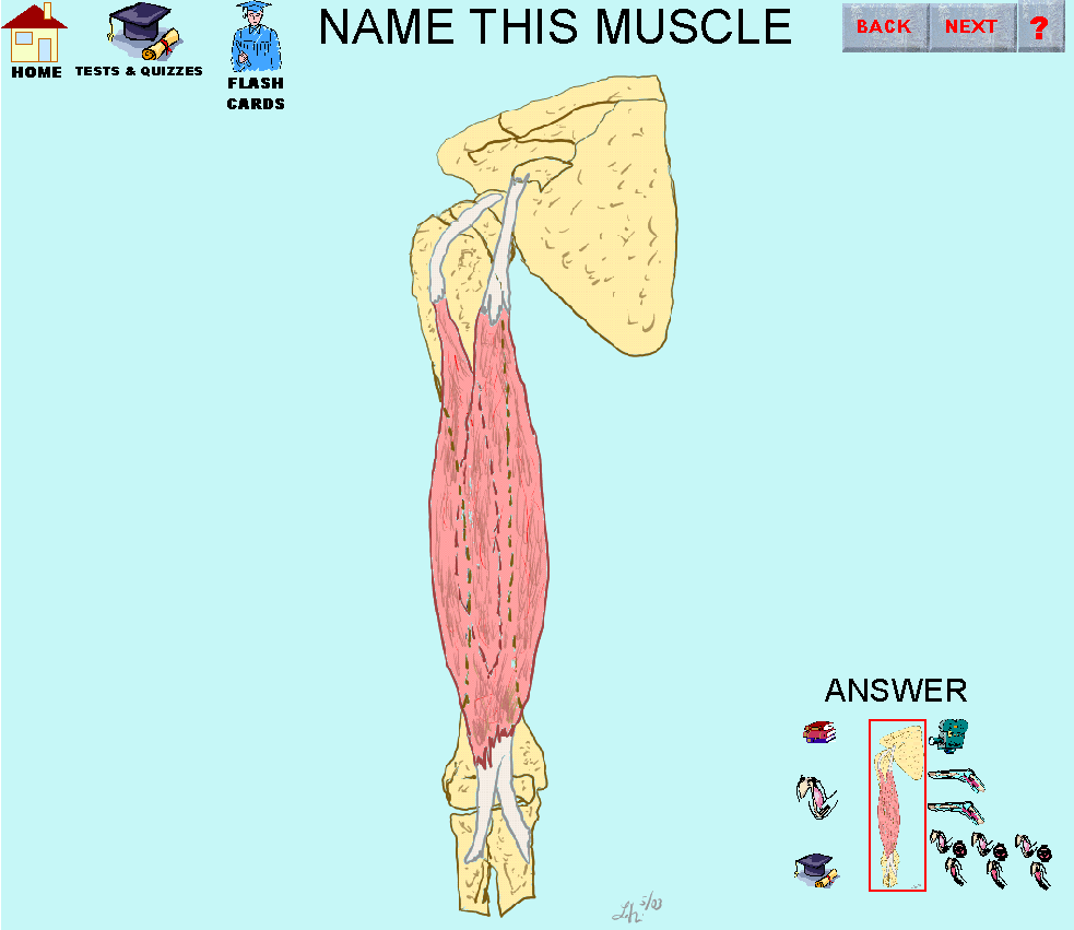 12_img.gif