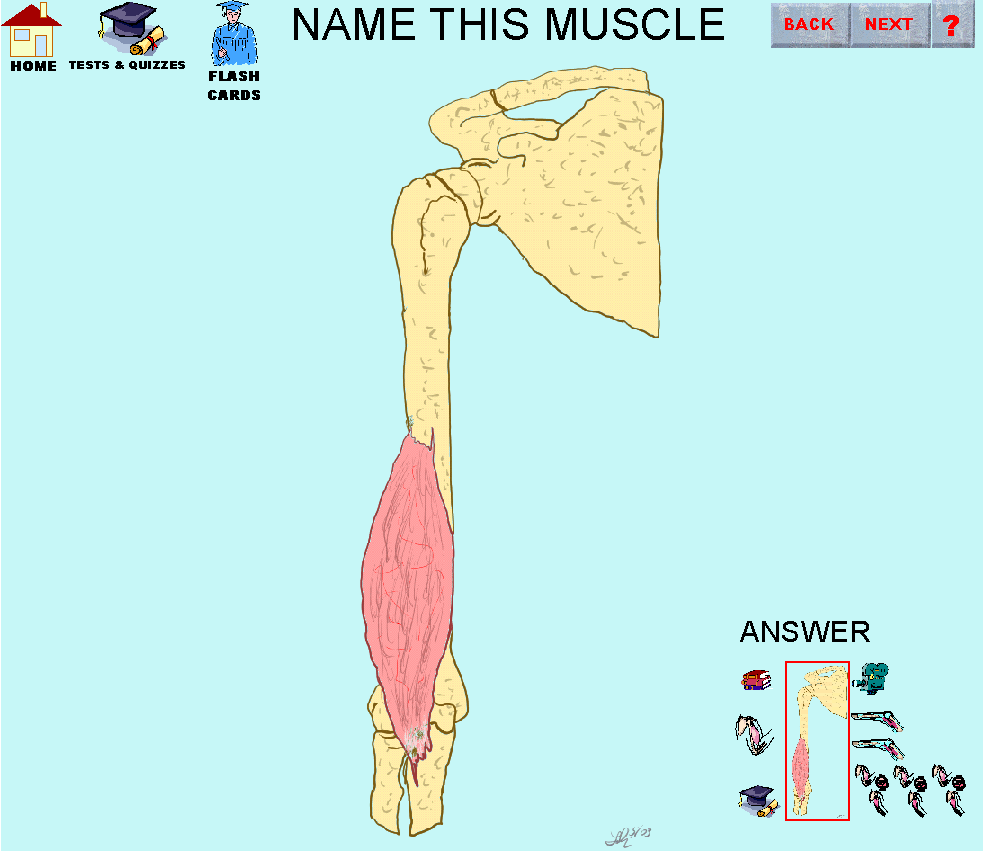14_img.gif