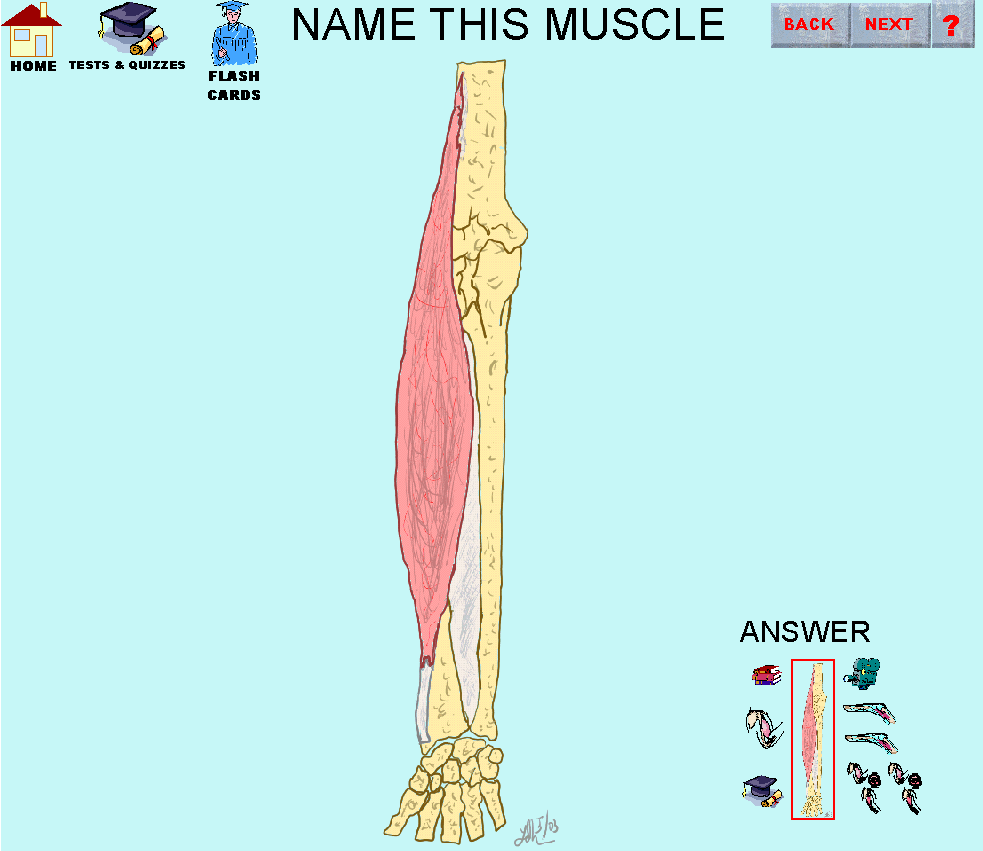 15_img.gif