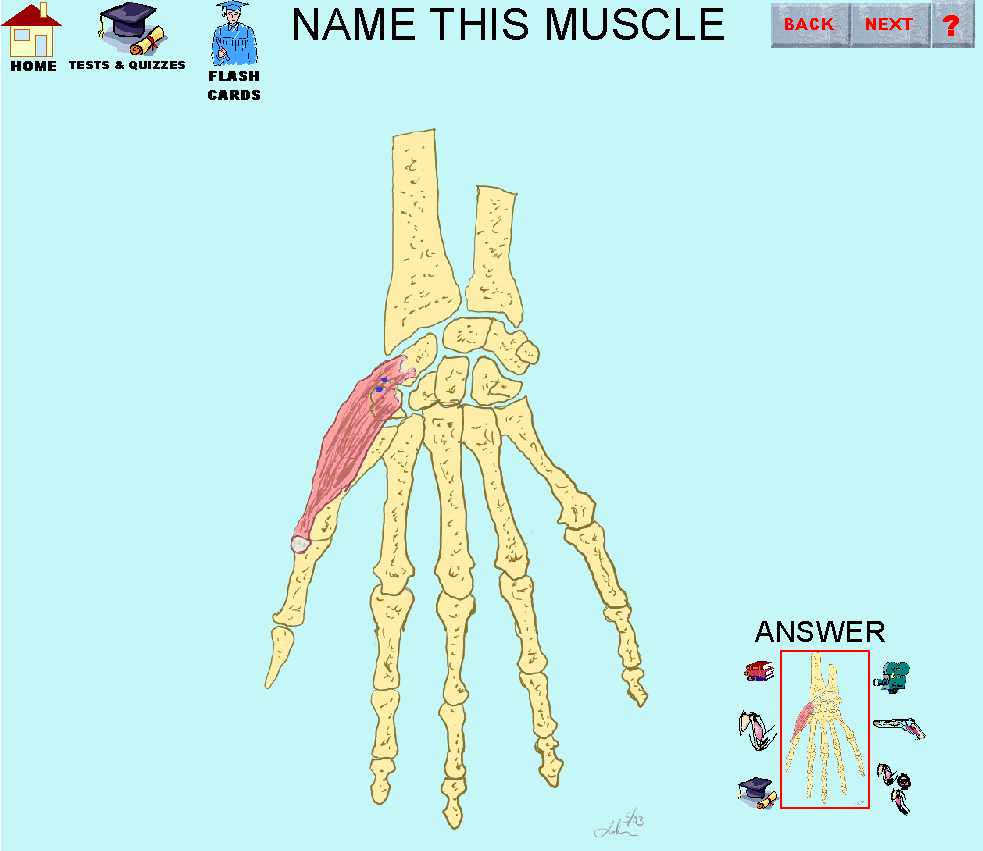 4_img.gif