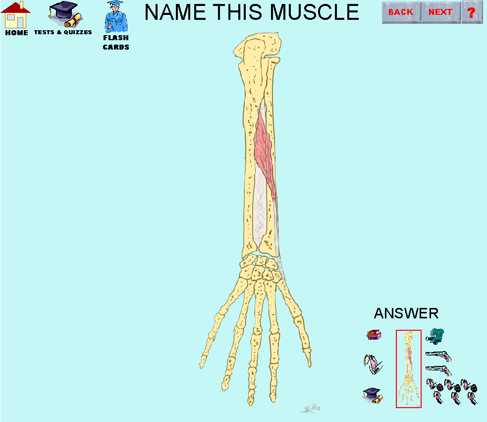 5_img.gif