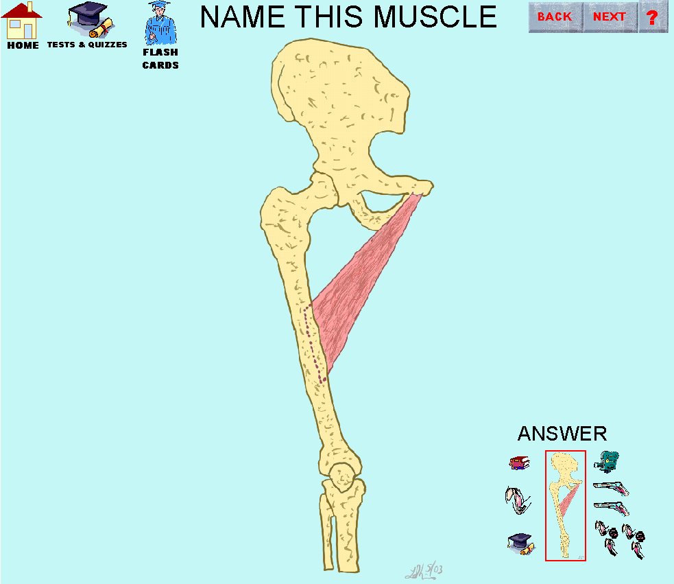 8_img.gif