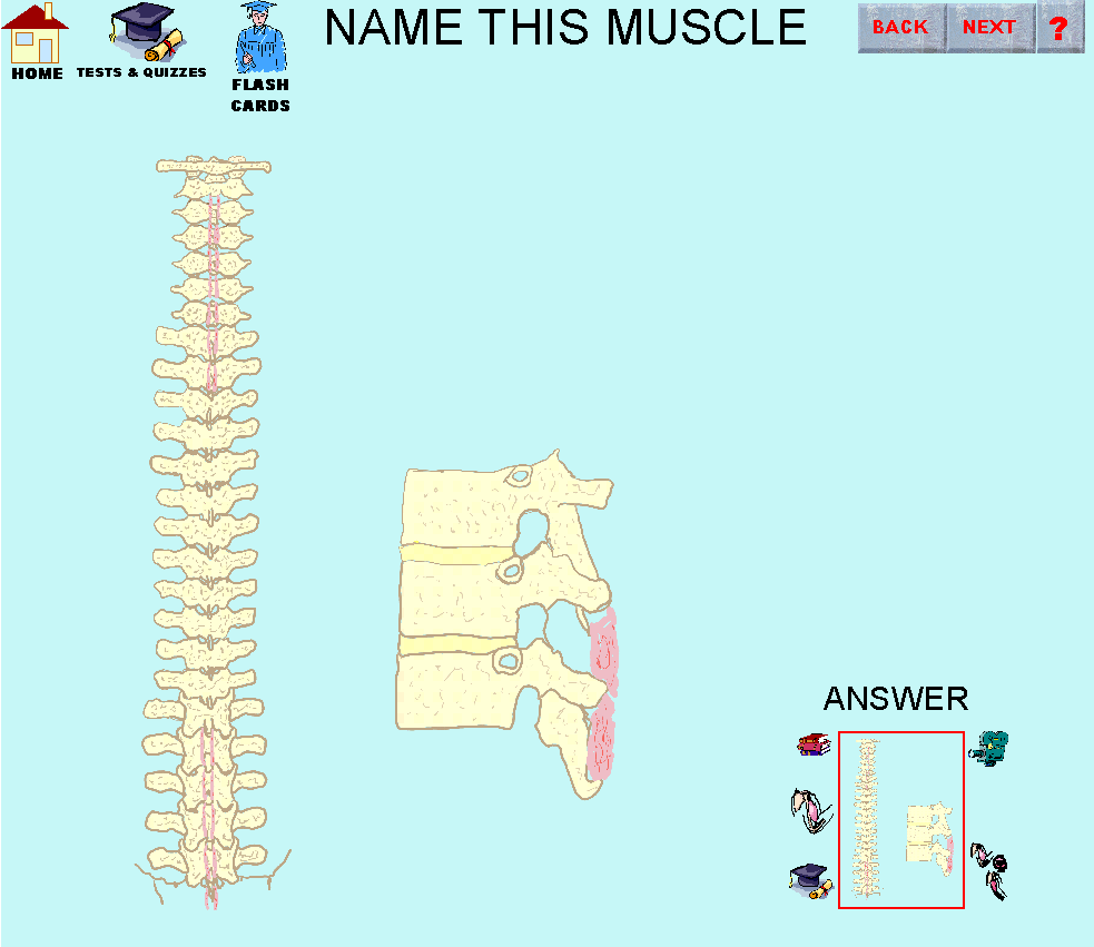 90_img.gif