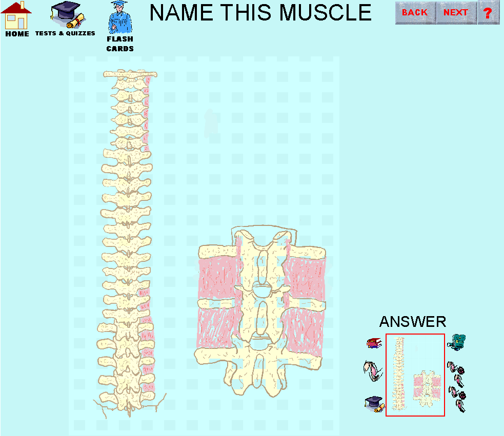 91_img.gif