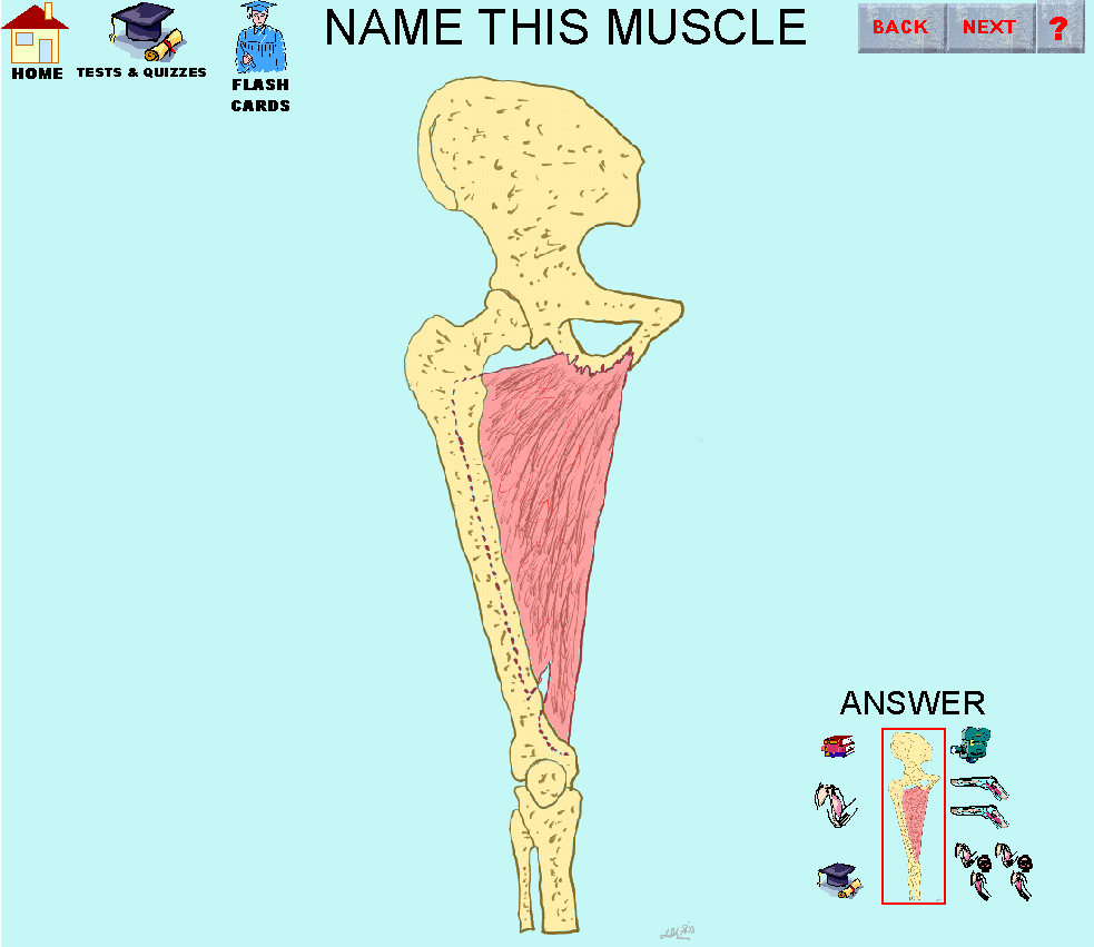 9_img.gif
