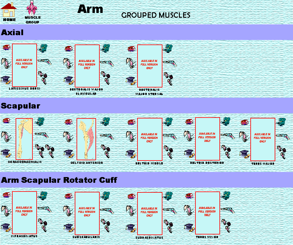 Arm_img.gif