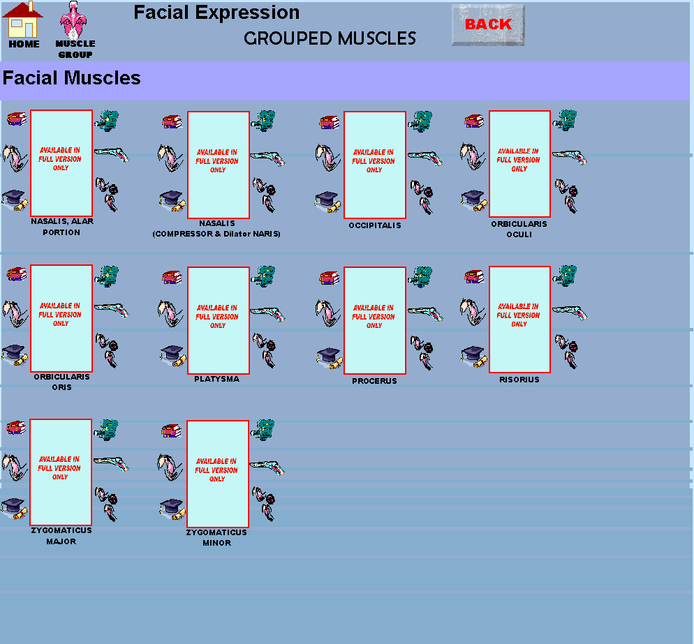 Facial2_img.gif