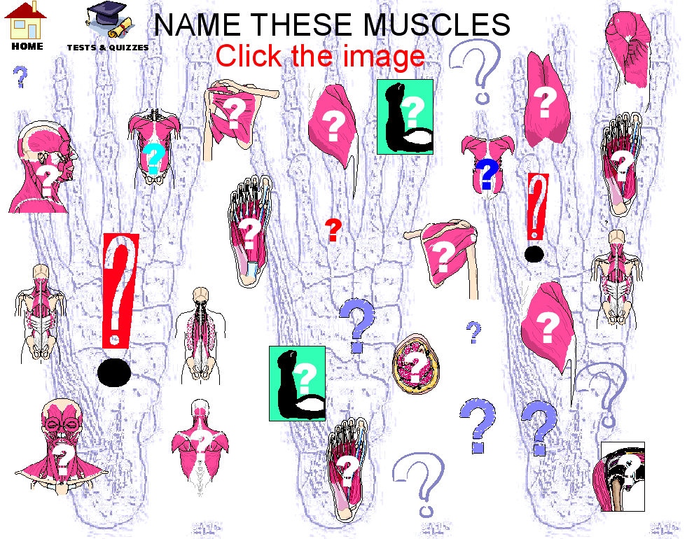 Quiz2_img.gif