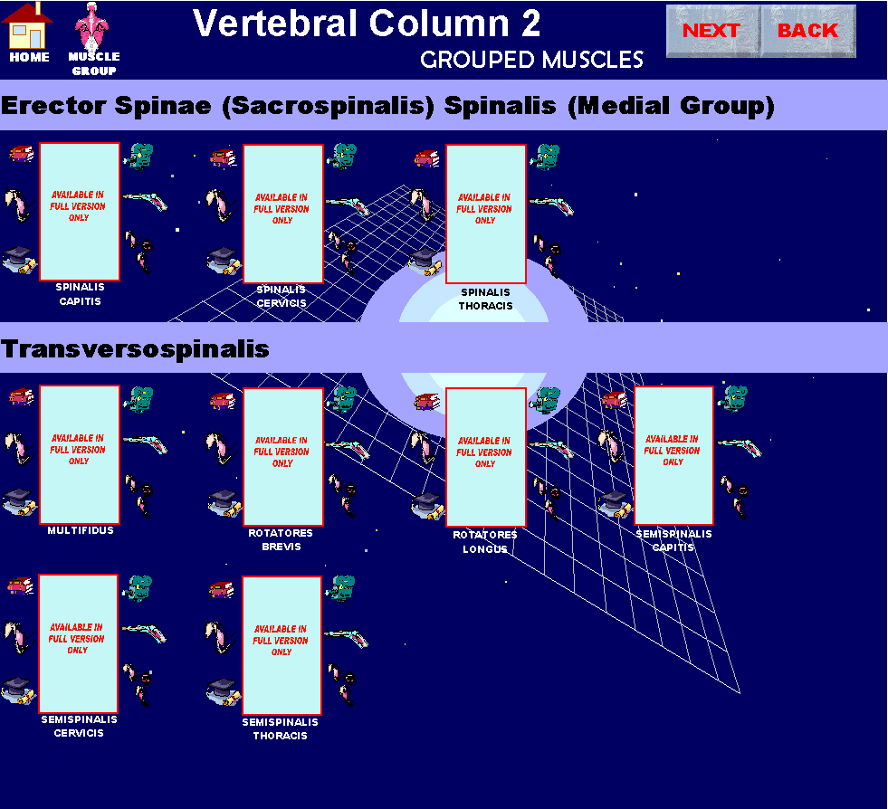 Vertebral2_img.gif