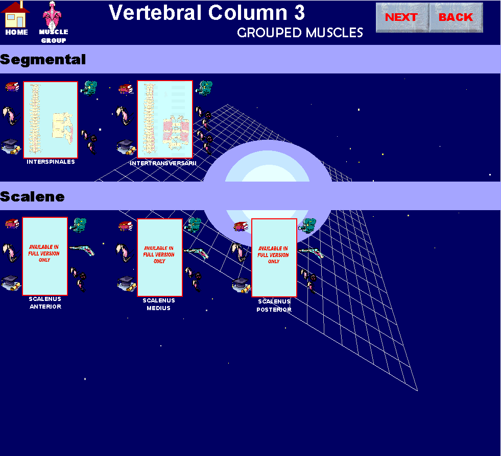 Vertebral3_img.gif