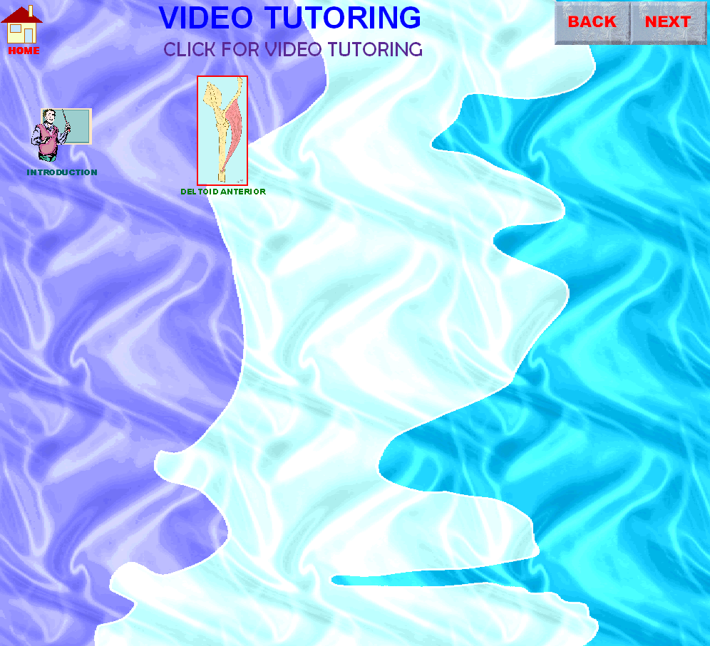 VideoTutorIntro2_img.gif
