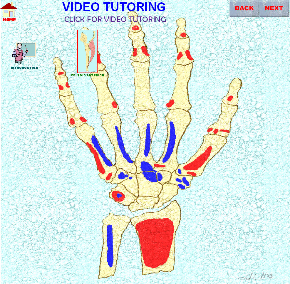 VideoTutorIntro3_img.gif
