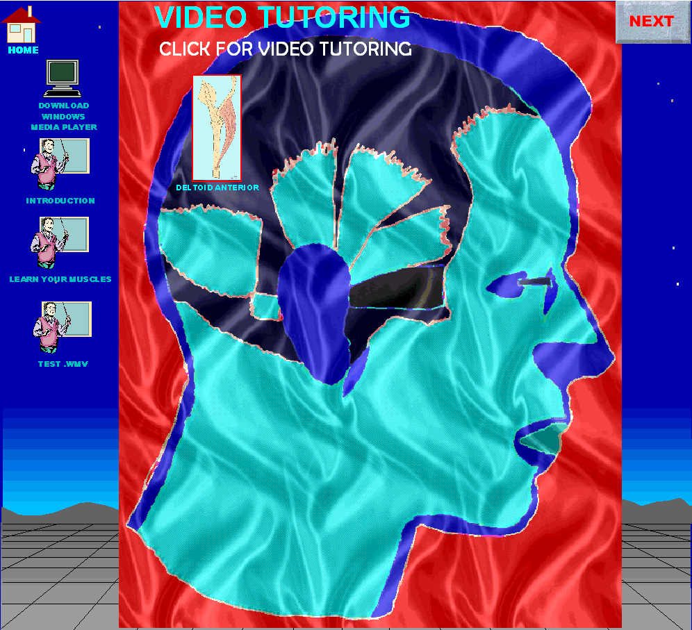 VideoTutorIntro_img.gif