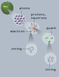 Sense of Scale diagram