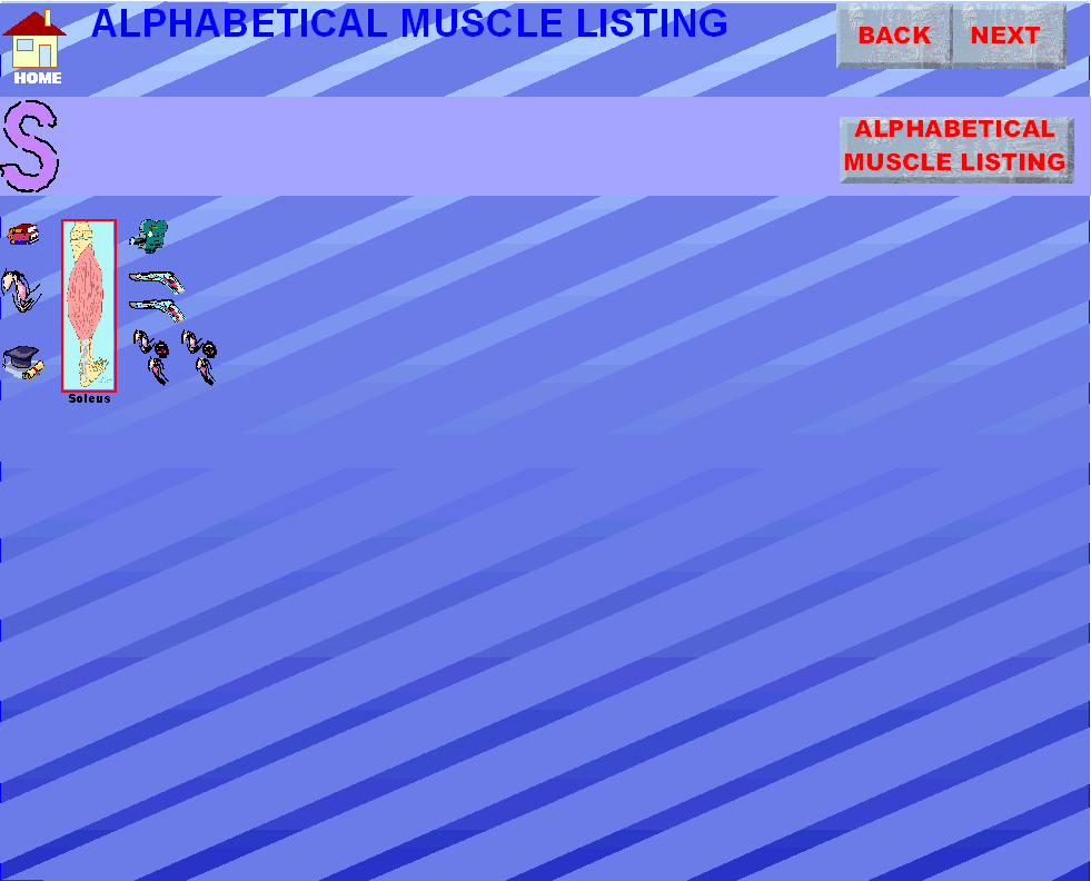 s_img.gif