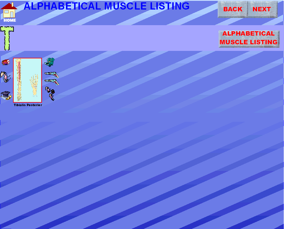 t_img.gif